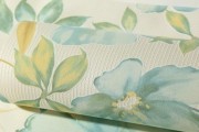 揭秘国美高职（以国美高职为舞台，实现职业梦想的绝佳选择）