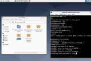 使用PE安装Linux操作系统的详细教程（一步步教你在PE环境下安装Linux系统）