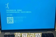 电脑蓝屏U盘装系统教程（Win7系统装机技巧及步骤详解）