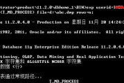 深入了解Oracle数据库字符集查询语句（掌握字符集查询语句的使用方法及重要性）