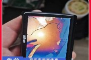 尼康S3000相机的功能和特点（一款性价比高的入门级数码相机）