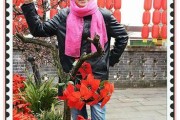 以乐2手机怎么样？（一款性价比极高的手机）