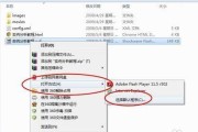 使用何种工具打开和观看SWF文件？（了解SWF文件的打开方法和常见工具）