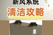 戴森HP01是如何实现高效空气净化的？（探索戴森HP01的先进技术和出色性能）