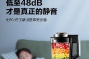 真空破壁技术（以真空破壁技术为基础的高效营养提取方法）