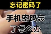 手机恢复出厂设置的影响与注意事项（了解手机出厂设置的关键细节，保障个人数据安全）