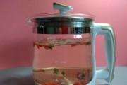 TCL净水壶（高效净水技术带来的品质生活体验）