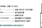 协强气压棒（探索协强气压棒的训练效果与应用技巧）