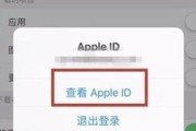 大白菜安装iOS系统教程（轻松掌握大白菜安装iOS系统的方法与步骤）
