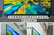 创维OLED电视（突破传统，呈现绚丽色彩与惊艳画质）
