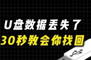 如何恢复损坏的U盘数据（有效的数据恢复方法与技巧）
